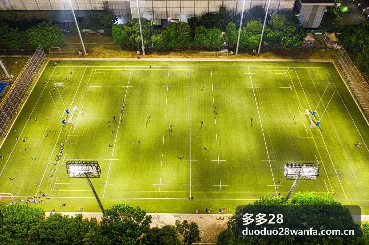 多多28平台功能重大更新